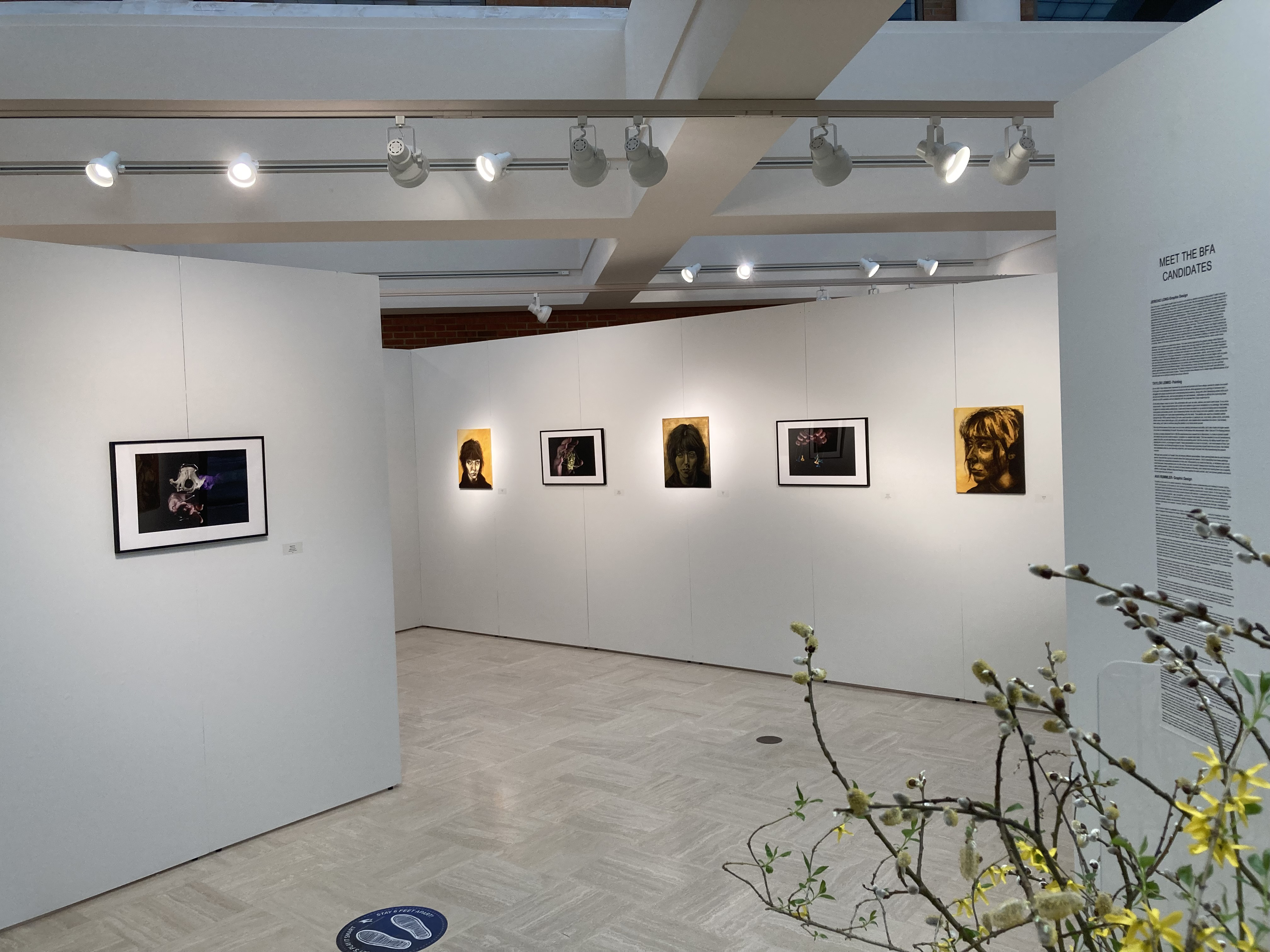 first wall interchange of Terry photos and Lemke paintings with view of artist statements at right